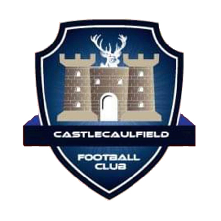 /wp-content/uploads/2026/06/castlecaulfield.jpg